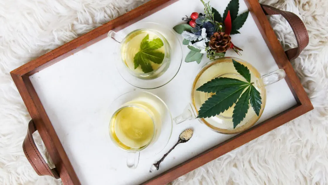 fda hearing on CBD oil