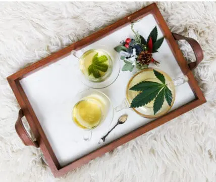 fda hearing on CBD oil
