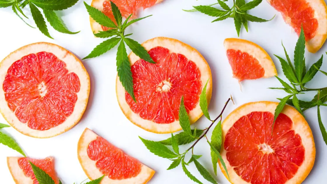 CBD Oil Buying Guide