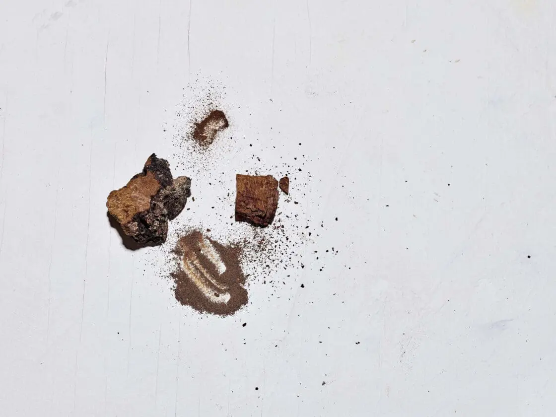 chaga mushrooms and mushroom powder which are functional mushrooms and the best adaptogens via Organic Authority