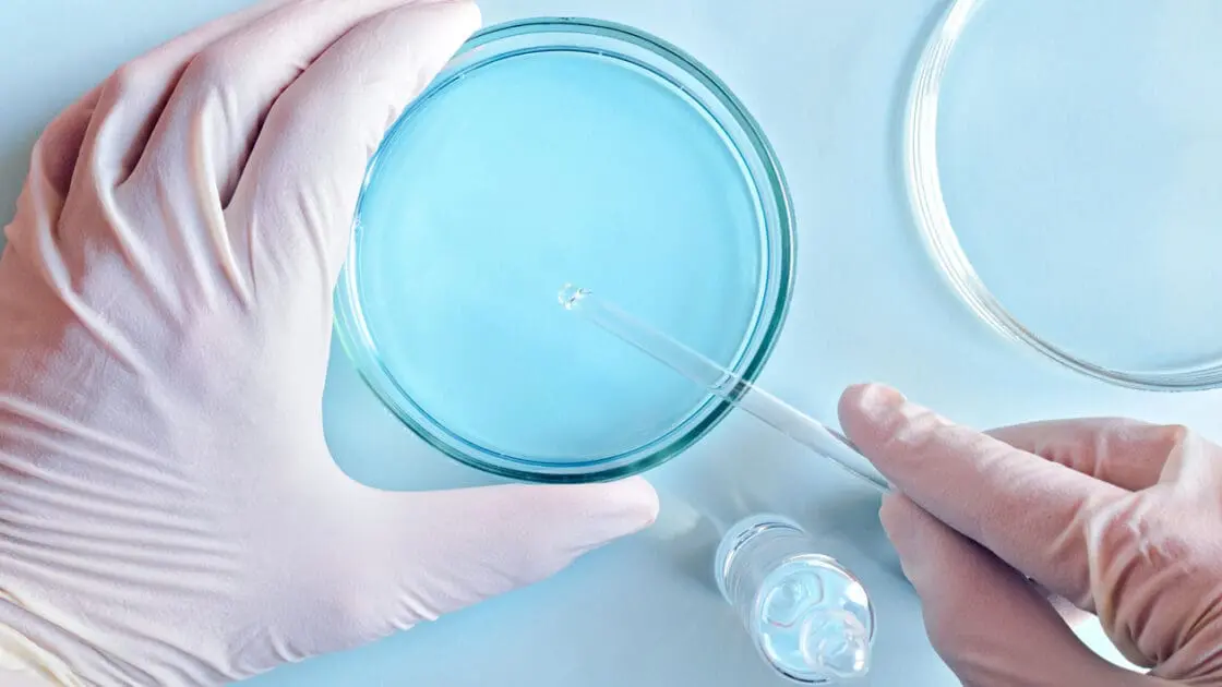 We're 'Running Out of Treatment Options' for Antibiotic-Resistance, Warns WHO