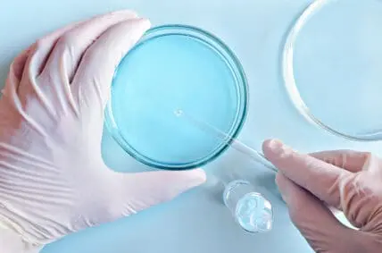 We're 'Running Out of Treatment Options' for Antibiotic-Resistance, Warns WHO