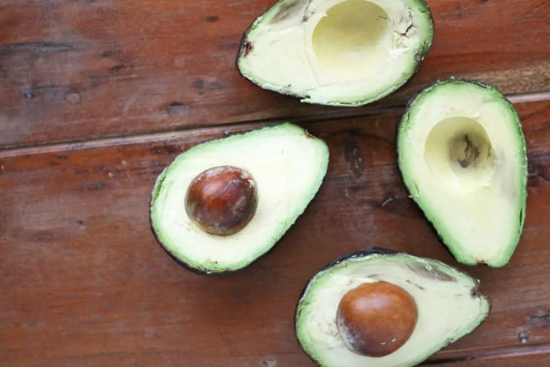 chocolate avocado mousse