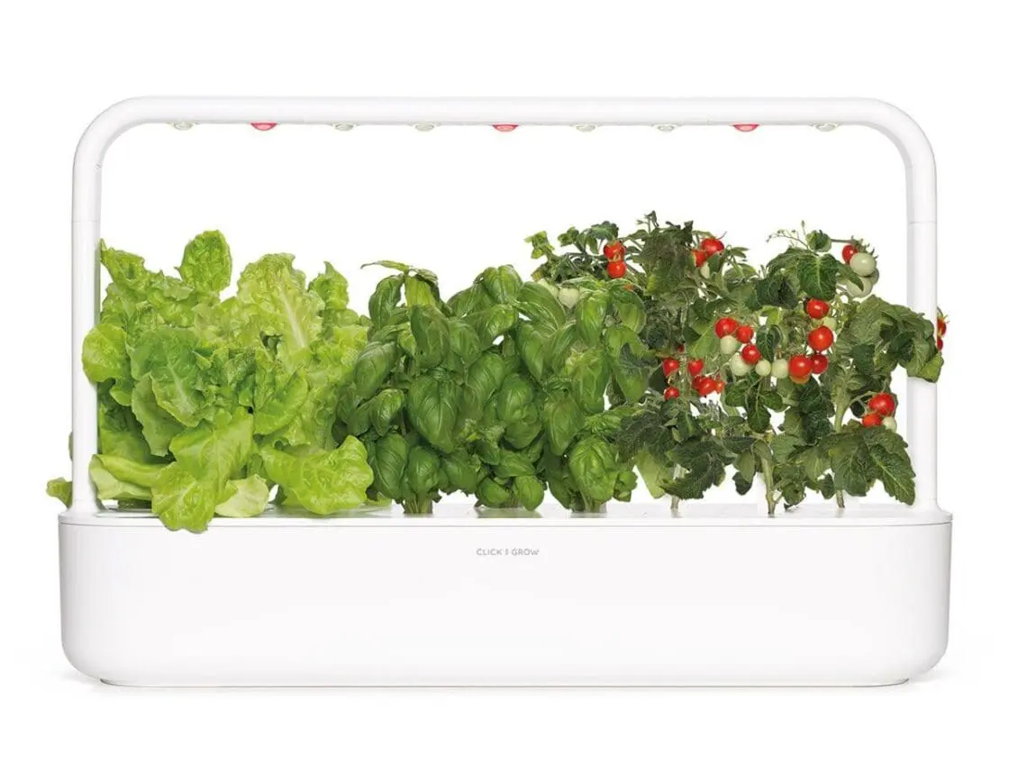 4 Grow Your Own Garden Kits to Make Quarantine Gardening Easy