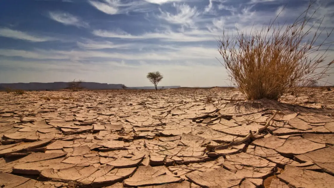 Climate Change Will Lead to Profound Food Insecurity Worldwide, New Study Shows