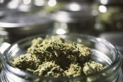 smoking pot