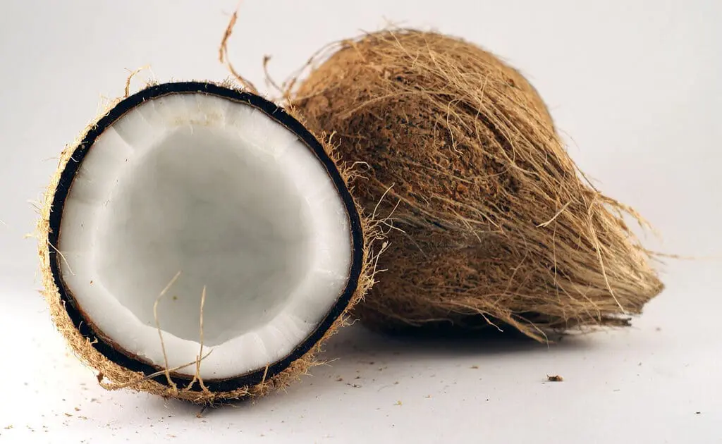 coconut oil photo