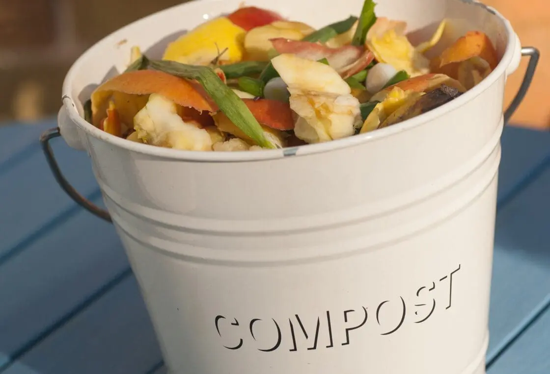 kitchen compost bin