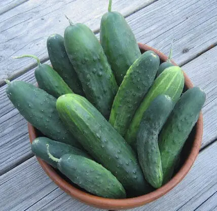 cucumbers