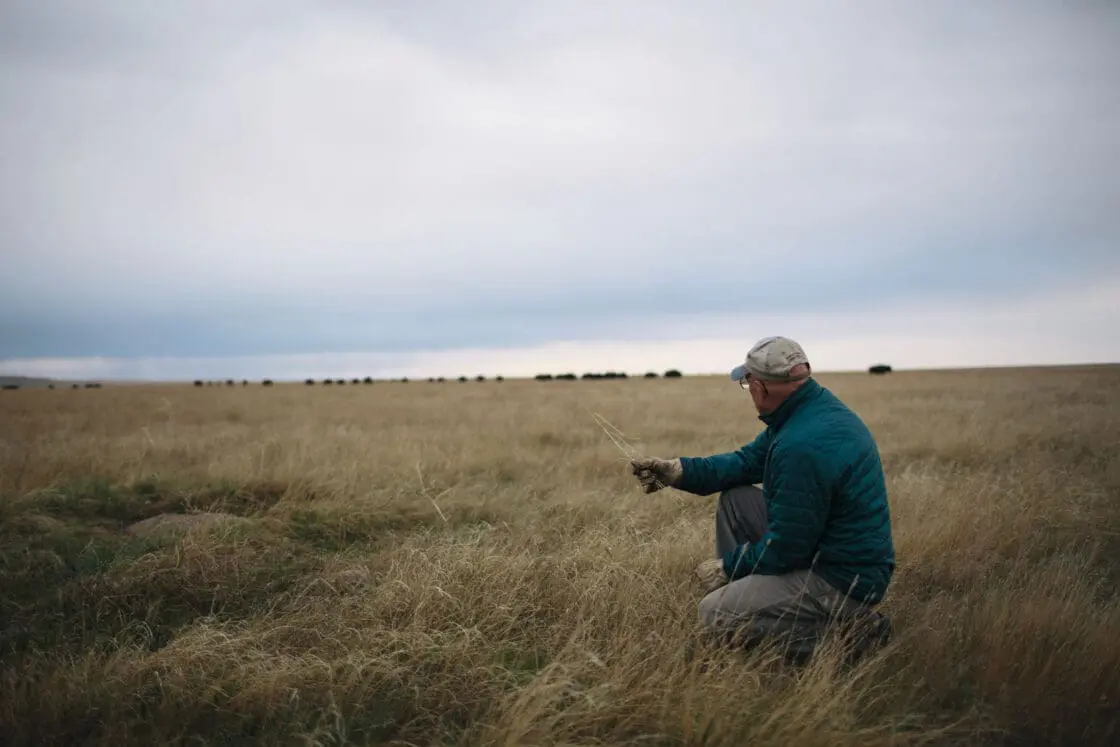 Dan O'Brien in the prairie