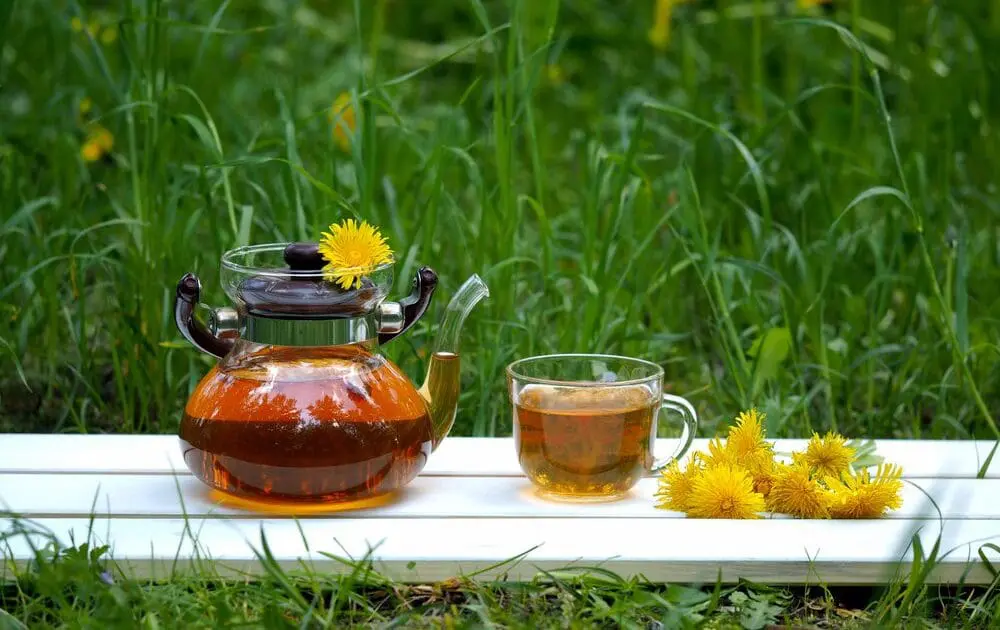 Dandelion Root Tea (What You Need to Know)