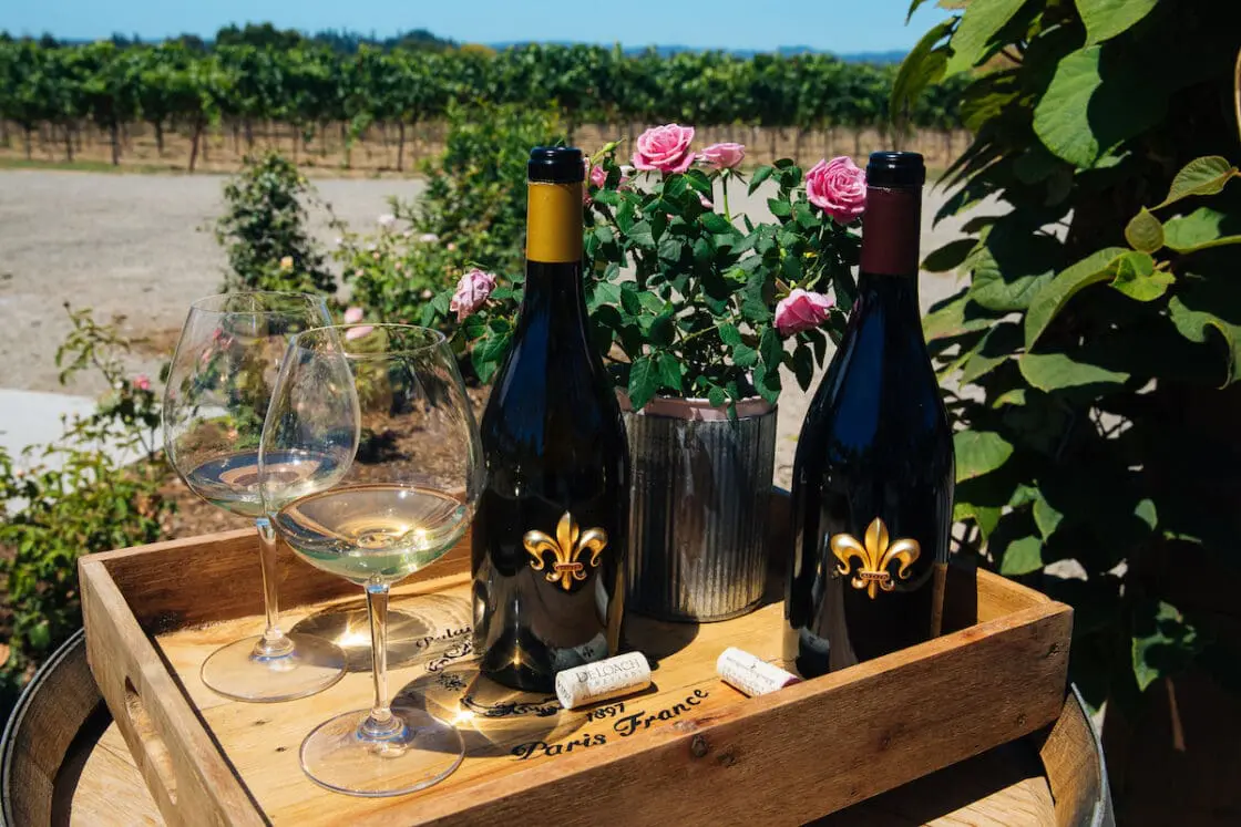 Best organic wines