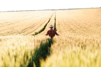 Do Corporations Hate Our Farmers?