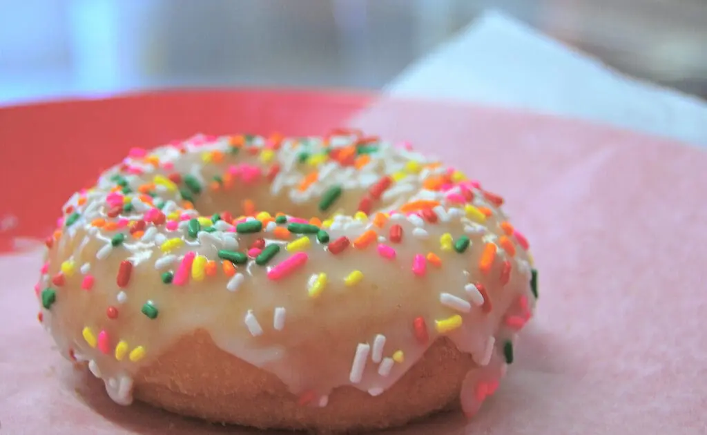 donut photo