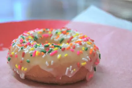 donut photo