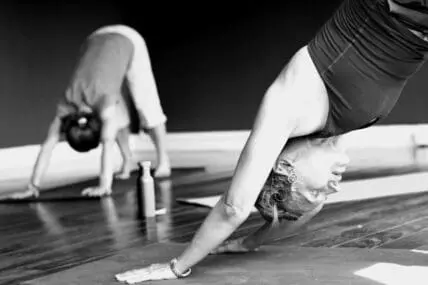 downward facing dog