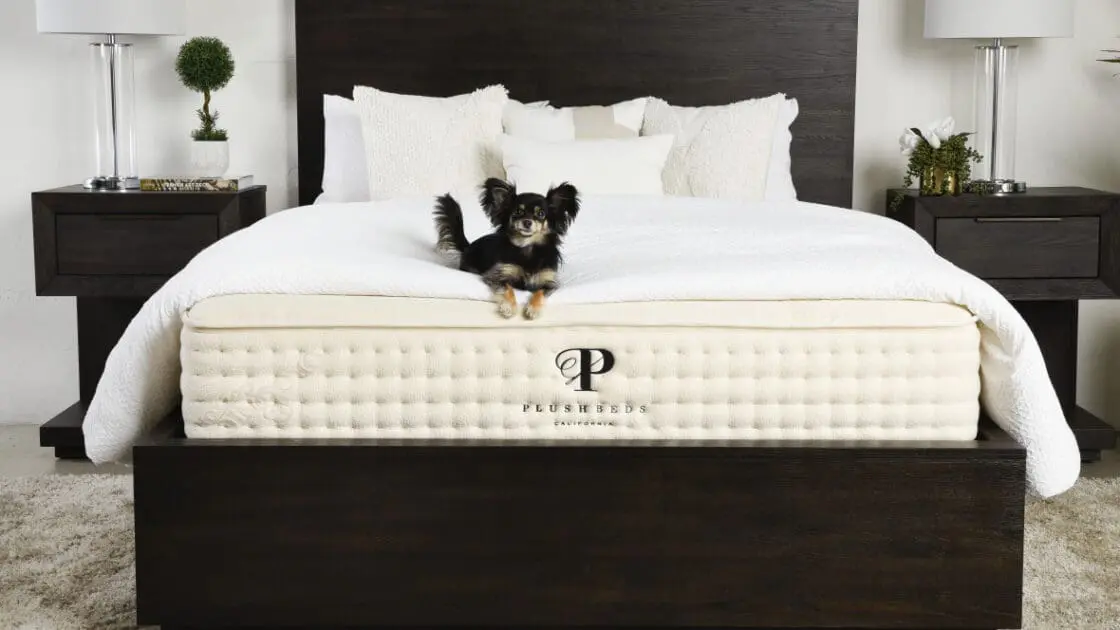 This Innovative Non-Toxic Mattress Changed the Way I Sleep