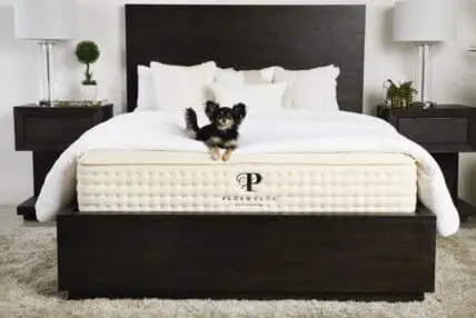 This Innovative Non-Toxic Mattress Changed the Way I Sleep