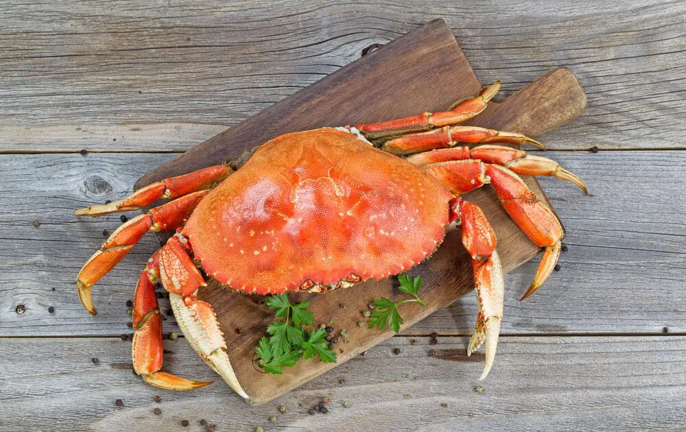 Amnesic Shellfish Poisoning Linked to California's Dungeness Crabs