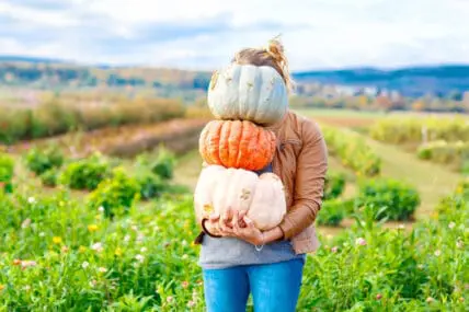 Eating Heirloom Pumpkins, Because Those Fall Decorations are Delicious