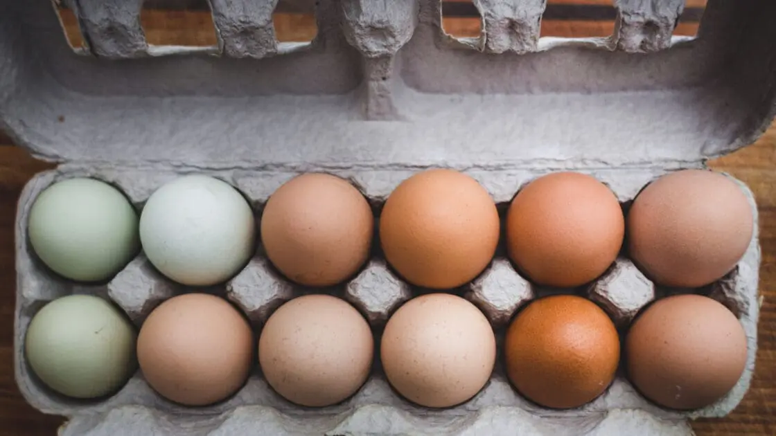 green and brown eggs in an egg carton