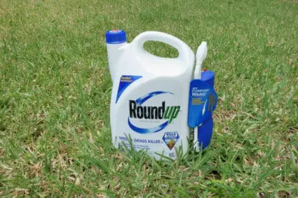 EPA Colluded with Monsanto to Slow Safety Review of the Herbicide Glyphosate