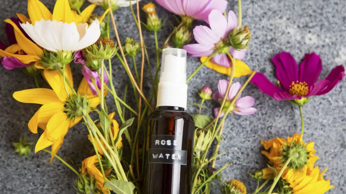 witch hazel toners for natural glowing skin