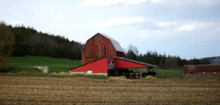 farm
