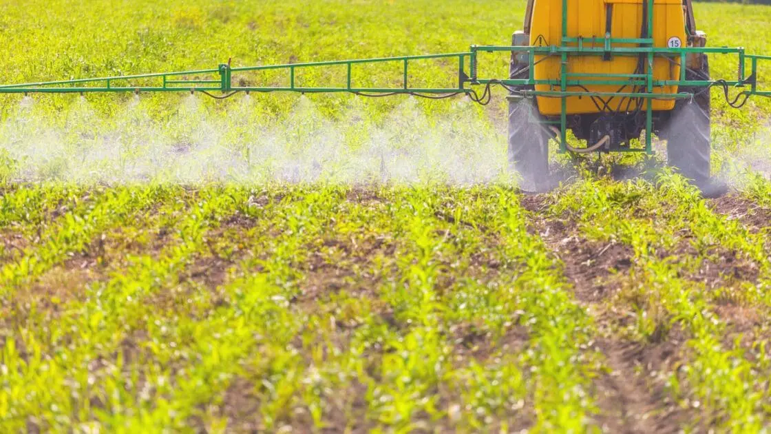 FDA Data Finds High Levels of Glyphosate in All Foods Tested 'Except Broccoli'