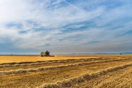 crispr technology to be used by monsanto