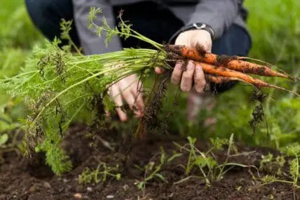 "Food For Thought, Food For Life" is about making positive change.