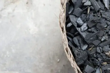 6 Expert-Backed Reasons Activated Charcoal Rocks for Your Health