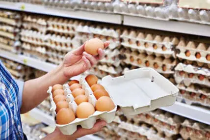 Avian Flu Sparks Increased Demand For Organic and Free Range Eggs