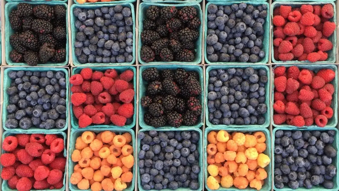 Fresh Berries and Bagged Salads Top Organic Produce Sales