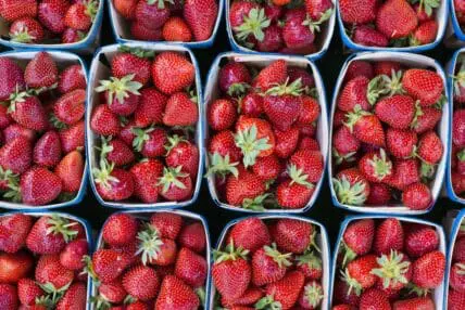 Fresh Fruit and Veggies are So Much Cheaper than Junk Food, Study Finds