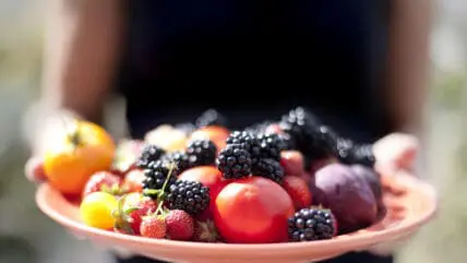 fruits
