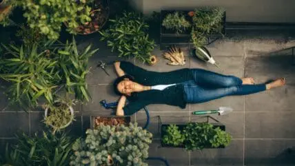 5 apartment balcony gardening tips