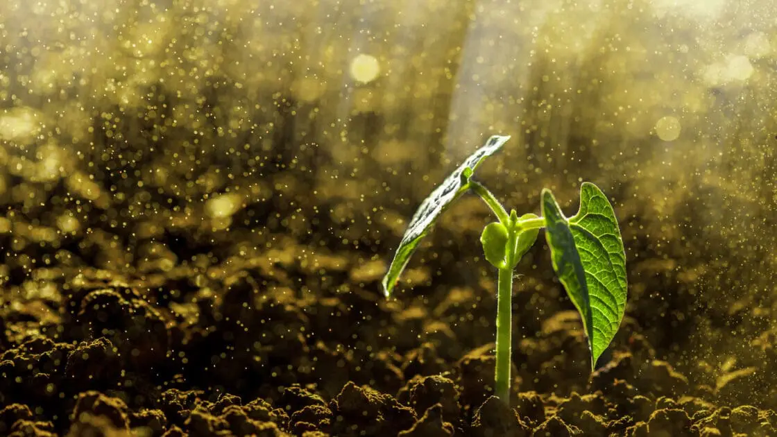 General Mills Invests in Soil Research at the University of Minnesota
