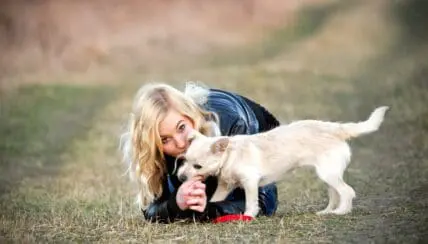 Pesticide Found  in Pet Flea Collars and Sprays May Cause Cancer in Humans