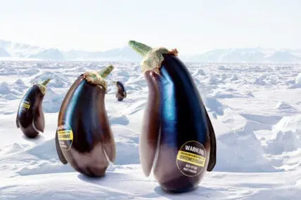 GMO