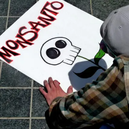 Senator Boxer Reintroduces GMO Labeling Bill In Response to Consumer Support