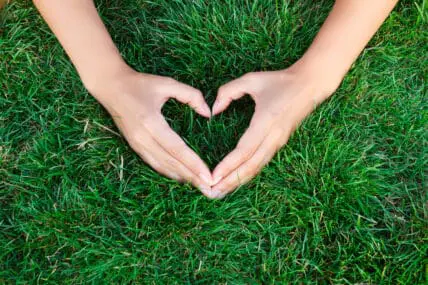 hands in the grass, heart hands