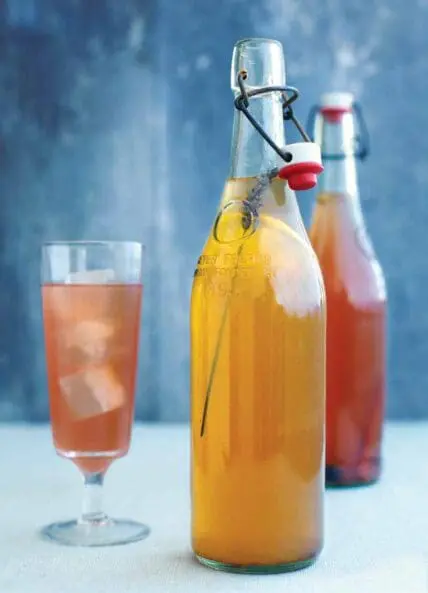 Holiday spice Kombucha bottls p26