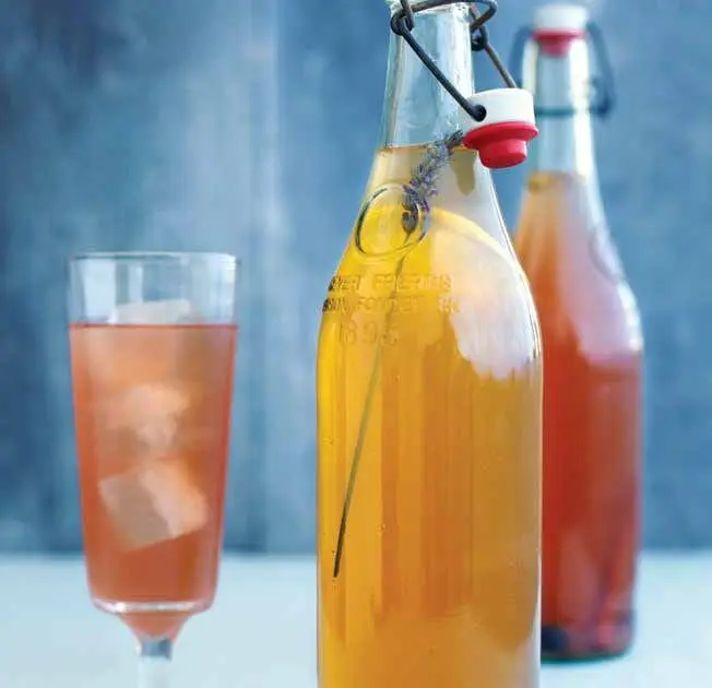 Holiday spice Kombucha bottls p26