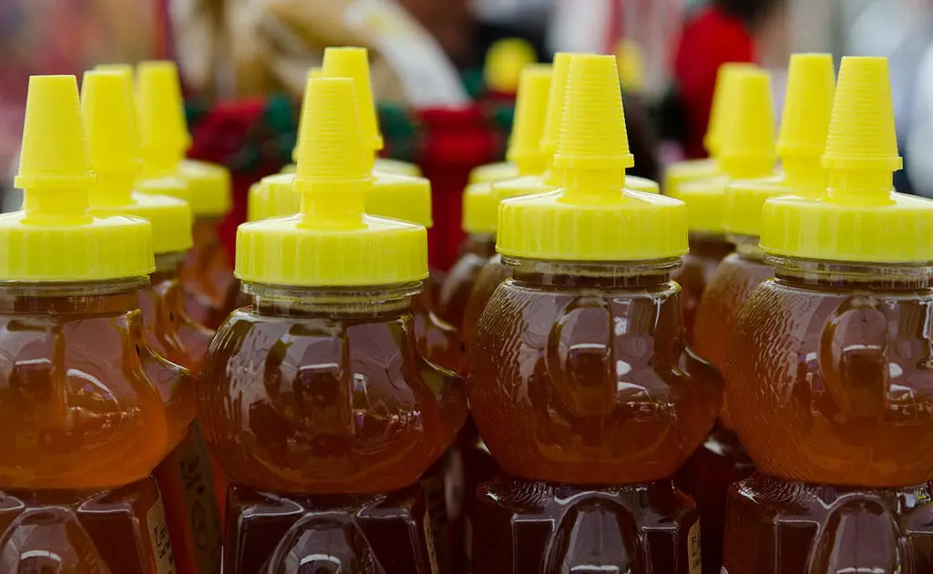 honey bears