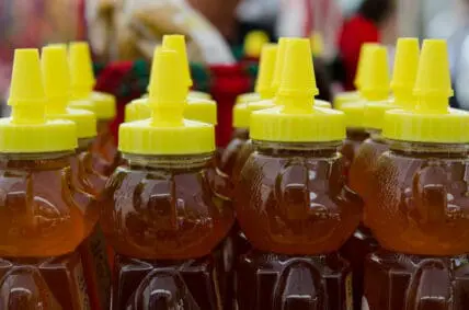 honey bears