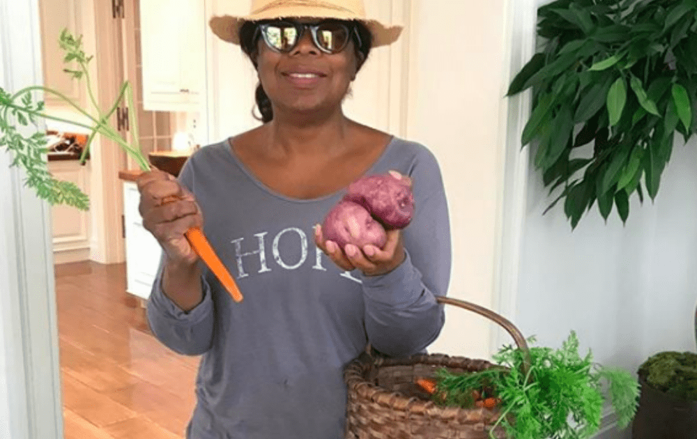 How Healthy is Oprah's New Comfort Food Line Anyway?