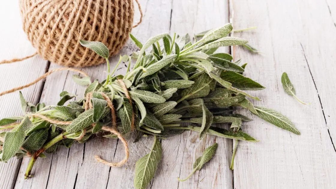 How to Make Your Own Incense