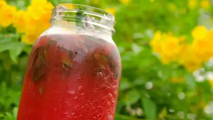 infused spirits photo