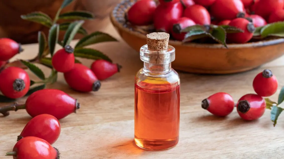 Rosehip Seed Oil for Acne